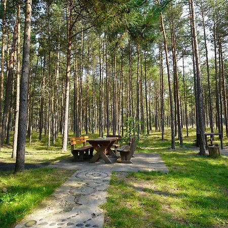 Forest Cottage Neringa المظهر الخارجي الصورة