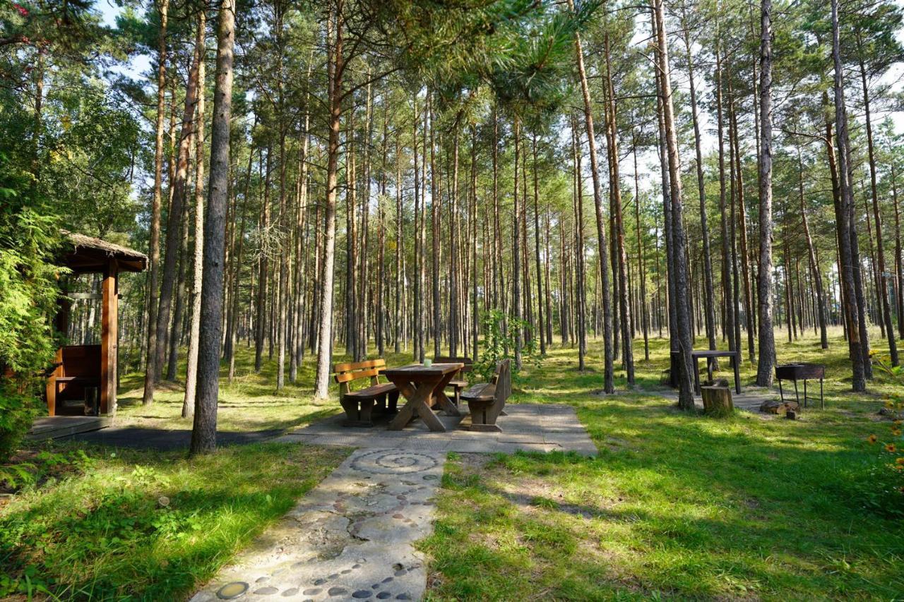 Forest Cottage Neringa المظهر الخارجي الصورة