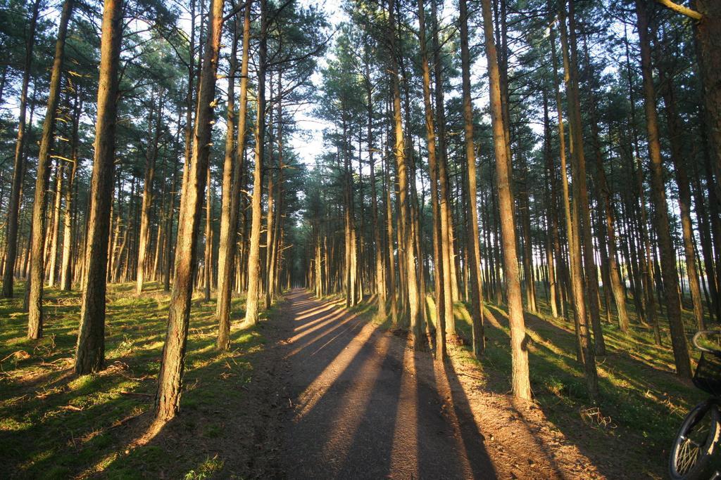 Forest Cottage Neringa الغرفة الصورة